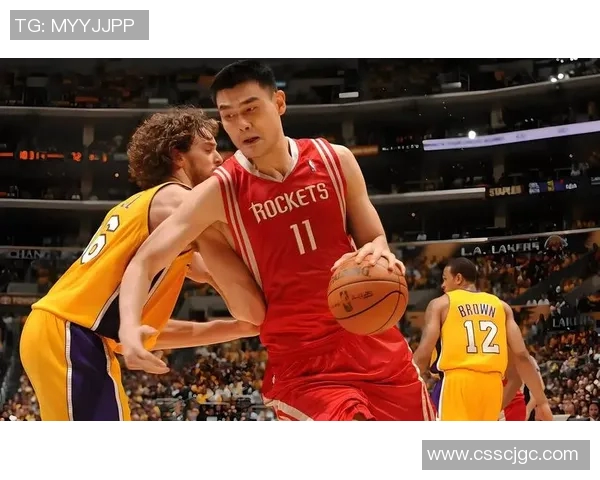 台湾视角下的姚明传奇与篮球文化的交融探讨