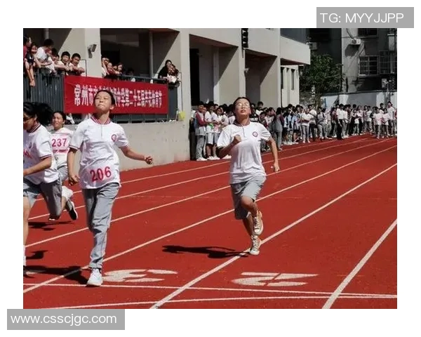 鲨鱼抱拳姚明展现友谊与体育精神的完美结合与传承